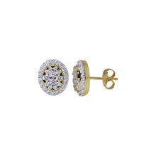 Load image into Gallery viewer, AGOL Ecran Gold Earrings